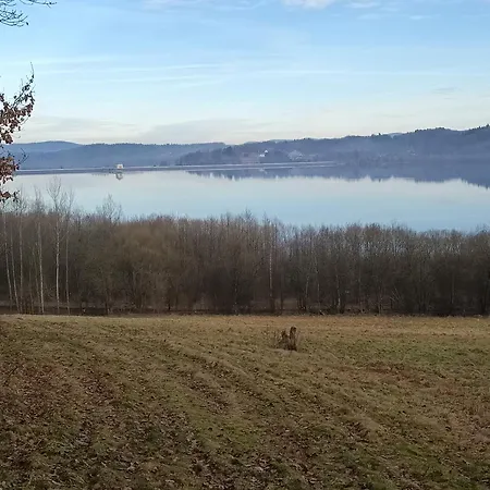 Laba * Sosnówka